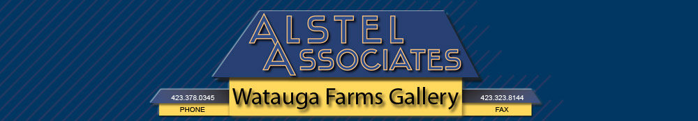 Boulder Development Gallery logo